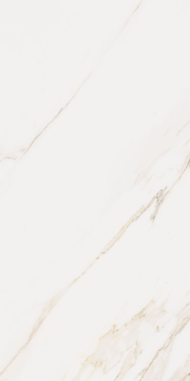 Omnia Calacatta Matte 24 x 48